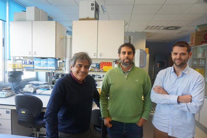 Investigadores Malagueños Descubren Un Nuevo Factor Relacionado Con La Diabetes 