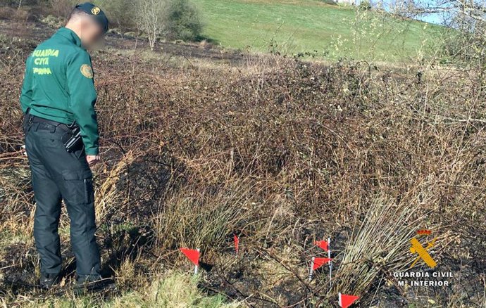 La Guardia Civil investiga a un hombre de 44 años por el incendio del domingo en