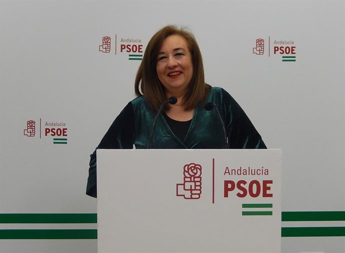 El PSOE-A exige al Gobierno de Moreno "un plan de choque real, con financiación"
