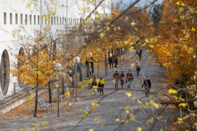 8M.- La UPNA Acoge Actividades Esta Semana Para Conmemorar El 8 De Marzo, Día In