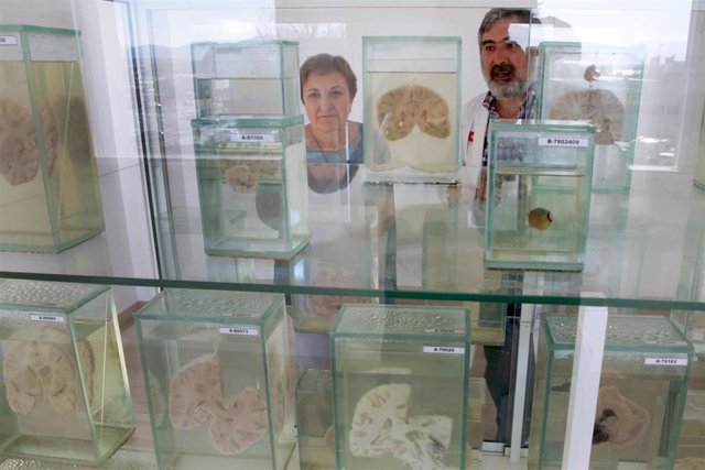 Inauguración museo anatomía patológica de Valdecilla