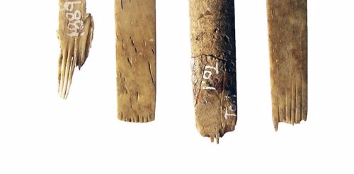 Hallan en Tonga un kit de tatuaje de 2.700 años, el más antiguo conocido