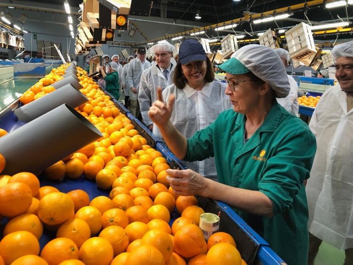 Córdoba.- Carmen Crespo anuncia la concesión de ayudas por 6,4 millones para pot