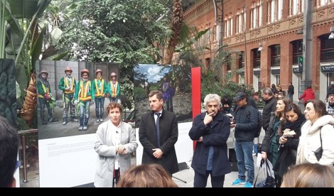 Cooperación y Desarrollo