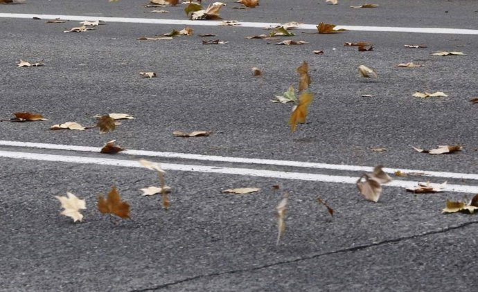 Protección Civil y Emergencias alerta por fuertes vientos, por lluvias intensas 