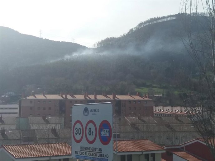 Extinguidos tres incendios forestales registrados esta tarde en Igorre, Arrieta 