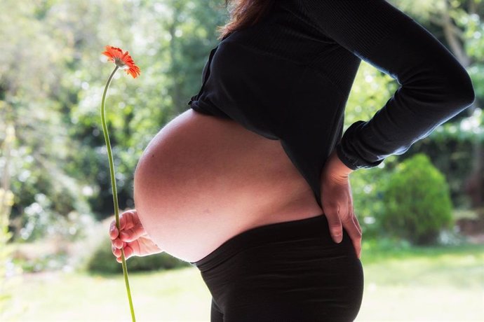 Granada.- El estrés de las embarazadas en el primer trimestre impide que el bebé