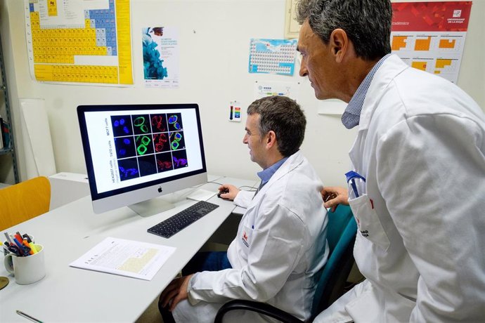 Investigación liderada por la UR diseña nuevas moléculas específicas de tumores 