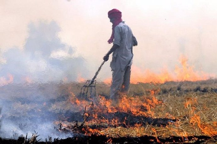 Estocolmo.- La quema de residuos de cultivos contribuye a la contaminación del a
