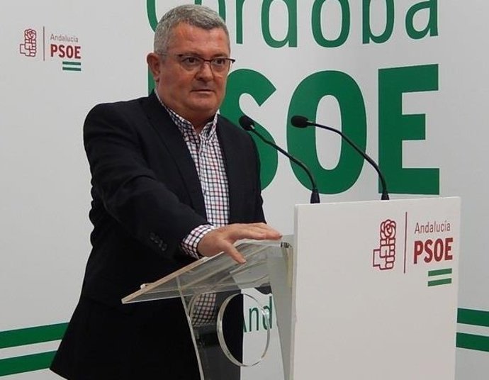 PSOE-A no descarta "tomar medidas" si el Gobierno andaluz no pide "perdón" por "