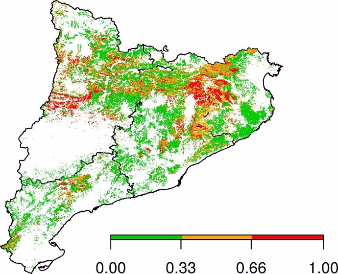 Girona es la provincia catalana con los bosques más vulnerables a la sequía