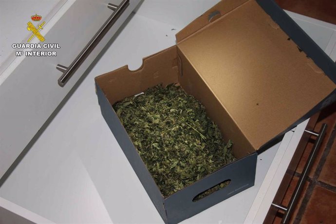 Detenido un grupo de diez personas dedicadas a vender marihuana en poblaciones d