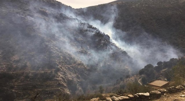 Almería.-Sucesos.-El Infoca trabaja en la extinción de un incendio declarado en 