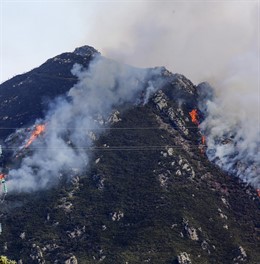 Labores de extinción del incendio forestal en la localidad asturiana de Soto de 