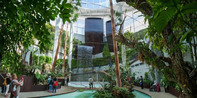 Orquidario Estepona Málaga Turismo Ocio Ambiental Plantas Museo