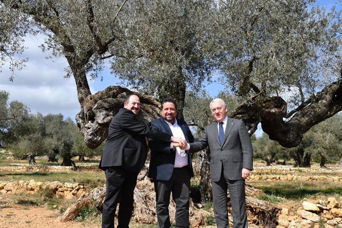 Las Diputaciones de Teruel, Castellón y Tarragona reciben un reconocimiento por 