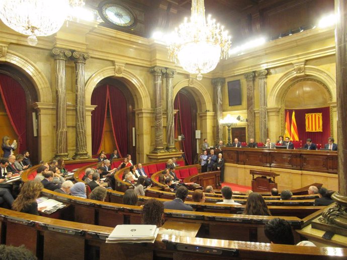 El Parlament de Catalunya tramita una llei sobre gossos teraputics per a víctim