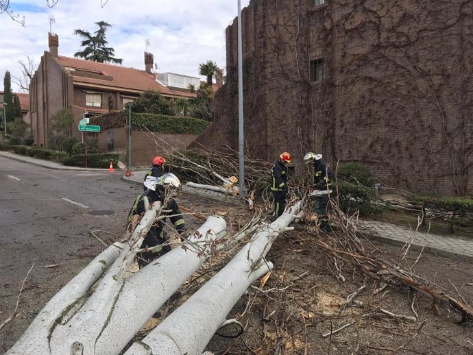 Sucesos.- Bomberos han intervenido unas 140 ocasiones hoy por daños ocasionados 