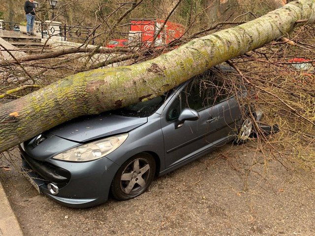 El 112 registra hasta 60 incidentes ocasionados por el viento en C-LM, ninguno d