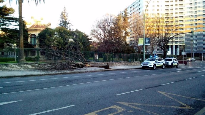 Derriba un árbol en Barakaldo (Bizkaia) tras colisionar con su camión