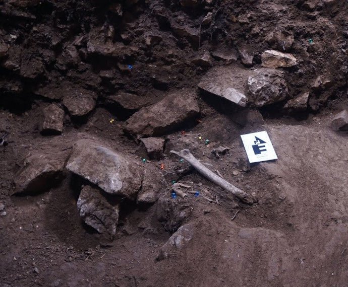 Descubren un entierro colectivo de hace 3.000 años en Vimbodí i Poblet (Tarragon