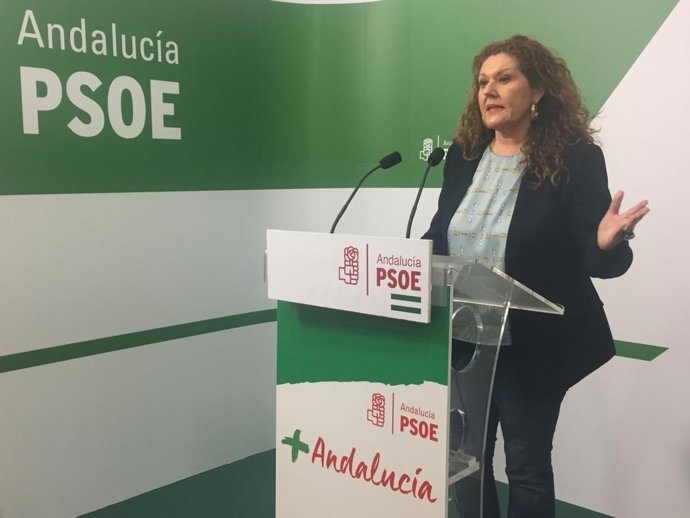 Cádiz.- PSOE pide recalcar el "importante papel" de los Ayuntamientos de la prov