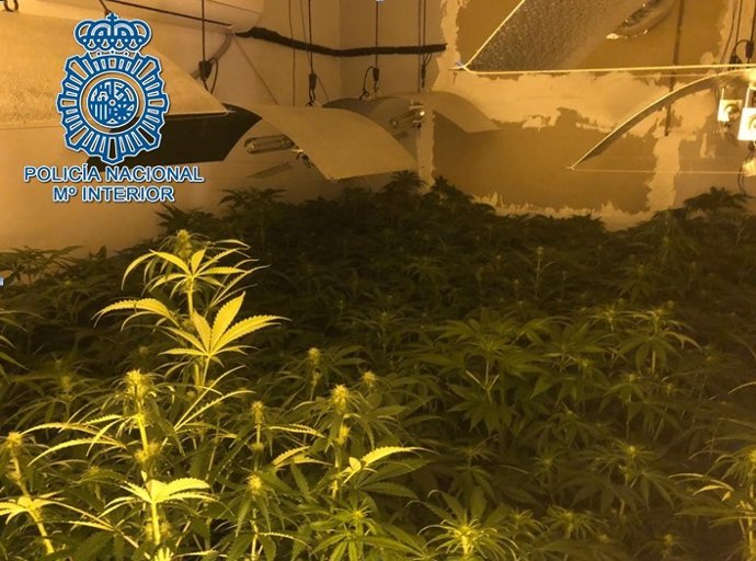 Sevilla.- Sucesos.- Detenidos nueve miembros de un clan familiar acusado de menu