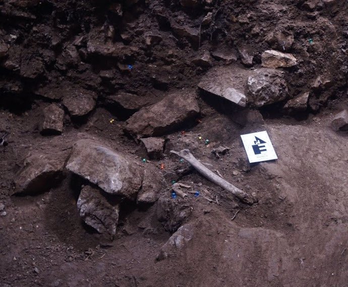 Descobreixen un enterrament collectiu de fa 3.000 anys a Vimbodí i Poblet (Tarr