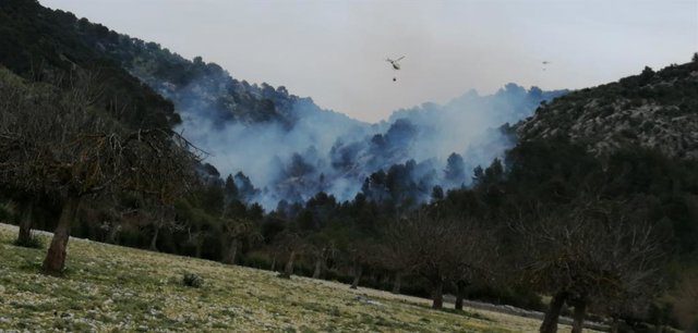 Sucesos.- Estabilizado el incendio forestal de Son Ordines, tras quemar 14 hectá