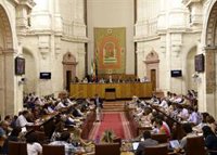 El Parlamento aprueba, con la abstención de Vox, crear una comisión permanente no legislativa sobre la discapacidad