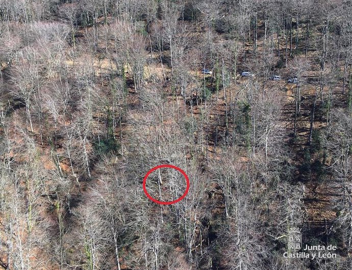 Sucesos.- Evacúna en helicóptero a un hombre de 42 años al que se le cayó encima