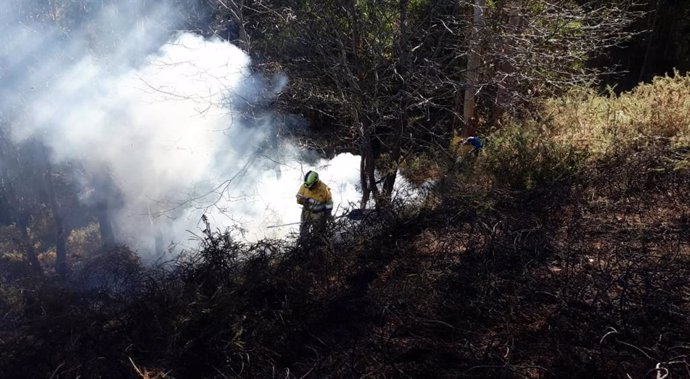 Cuatro incendios forestales permanecen activos en Cantabria