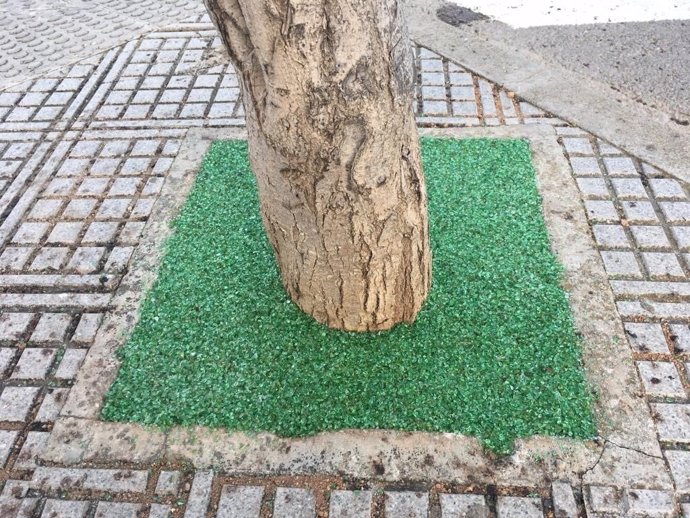 L'Ajuntament d'Eivissa inicia la millora d'escocells i jardineres en Figuerete