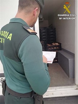 Huelva.-Sucesos.- Intervenidos en dos camiones 240 kilos de gurumelos de origen 
