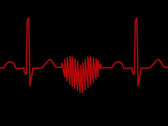 Los humanos perdieron la capacidad de regenerar tejido cardiaco cuando se volvie