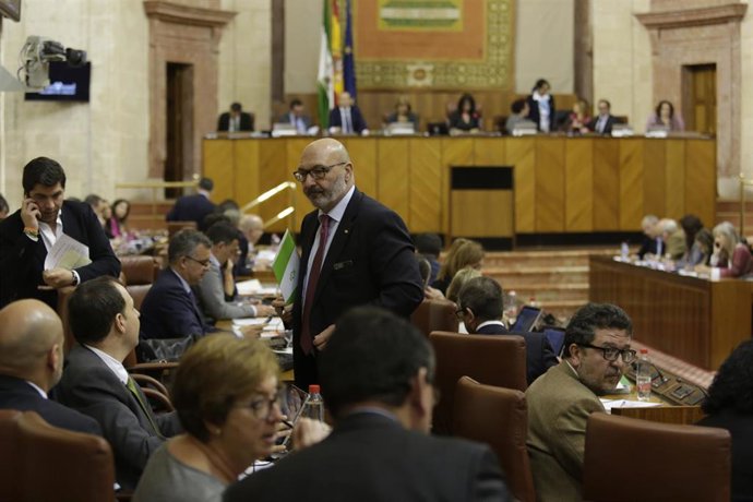 Sesión de control en la segunda jornada del Pleno del Parlamento andaluz