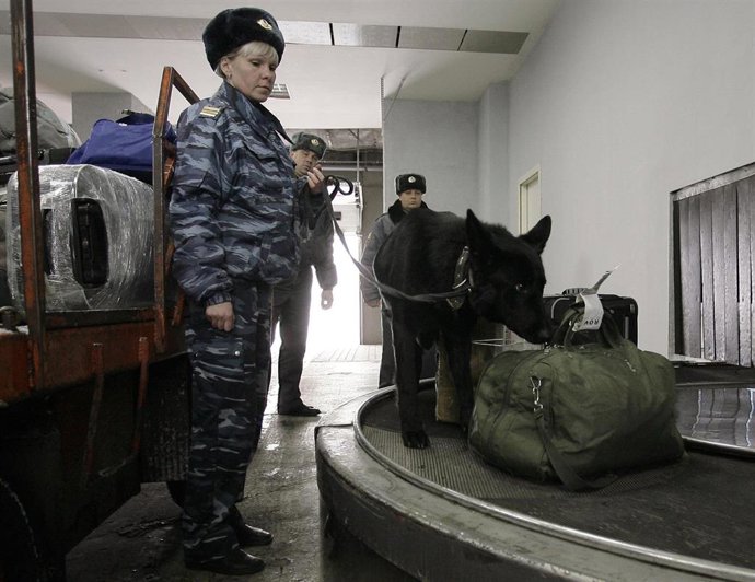 Perro Policia Busca Explosivos En Un Aeropuerto Ruso