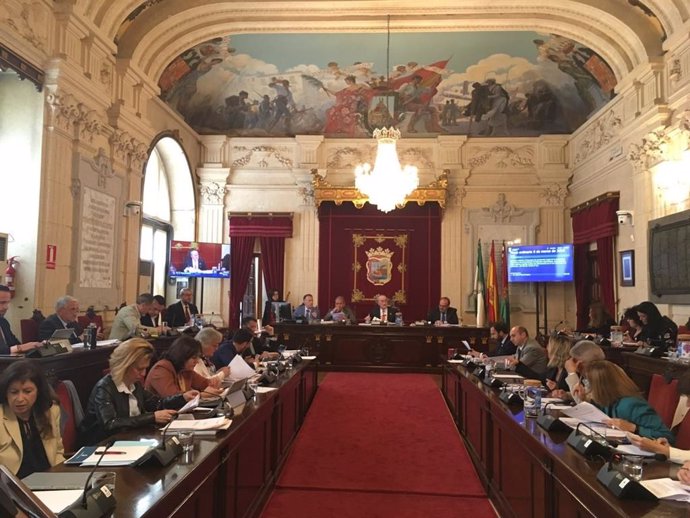 El Pleno aprueba impulsar medidas correctoras de inundabilidad del Guadalhorce y