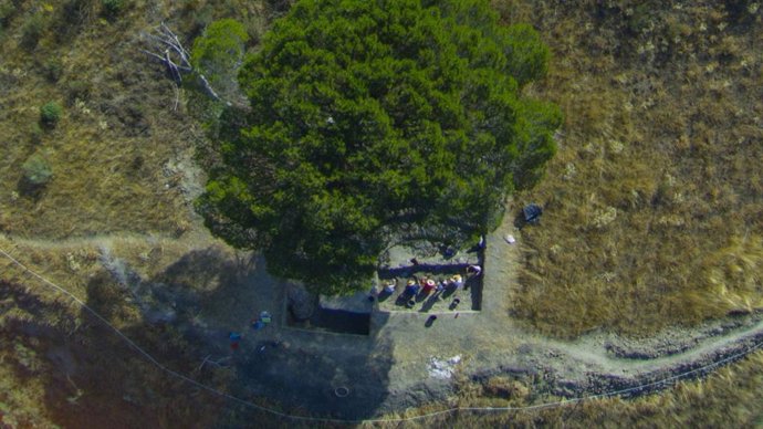 Pinos, alisos, sauces, fresnos, chopos y abedules "daban sombra" en la Peña del 