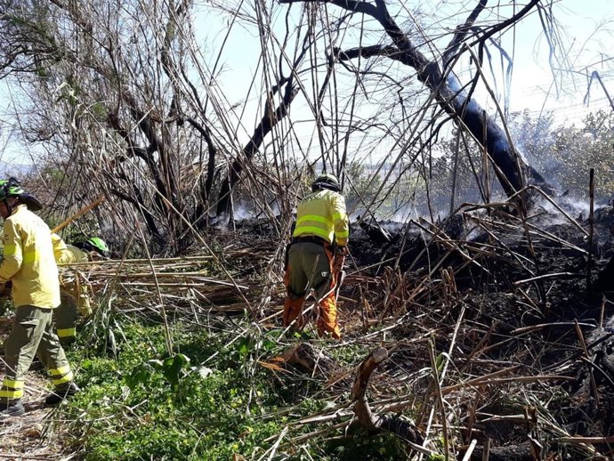 Málaga.- Sucesos.- Estabilizado un incendio en el paraje Río Grande de Cártama