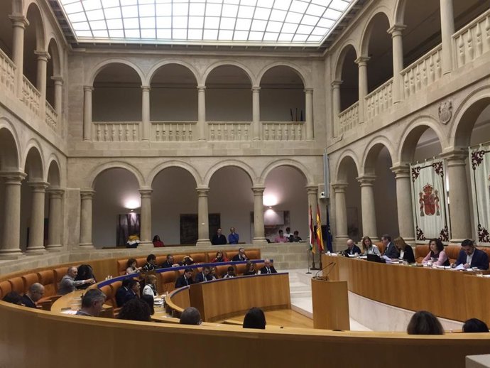 Primero pleno del 2019