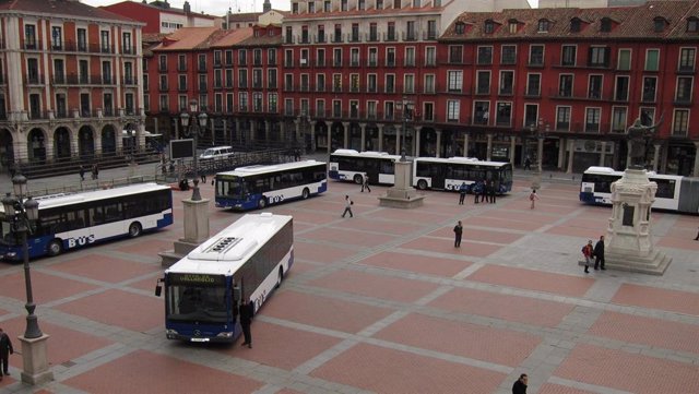 Algunos de los nuevos autobuses de Auvasa, en la Plaza Mayor de Valladolid