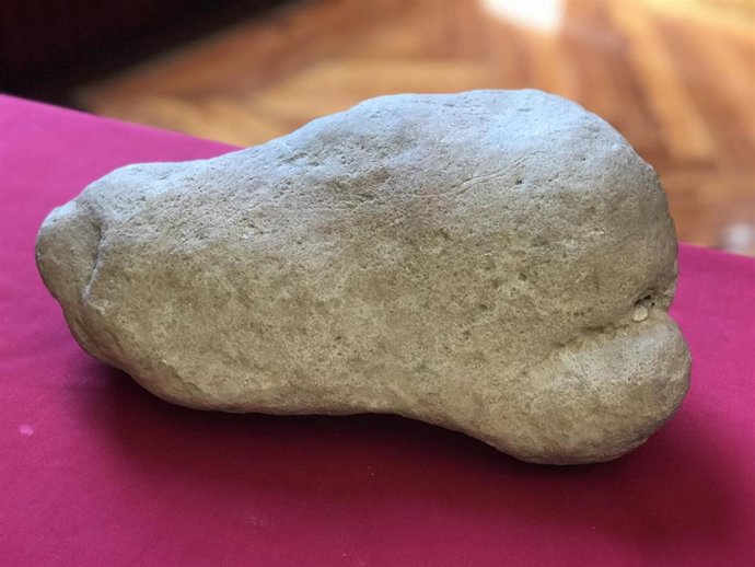 Hallan una pieza "única" de arte rupestre con humanos y grullas en Margalef (Tar