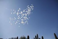 Lanzan 192 globos blancos en El Retiro en recuerdo de las víctimas del 11M: "Verdad, Memoria, Dignidad y Justicia"