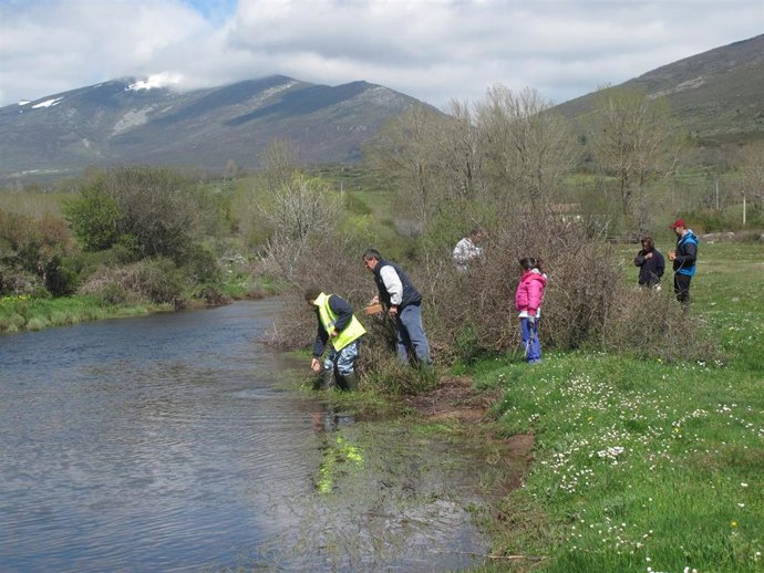 Casi la mitad de 62 tramos de ríos analizados en Cantabria presentaba un estado 