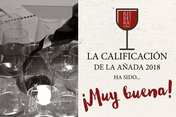 Nueve profesionales de referencia del vino califican la Añada 2018 de Ribera del