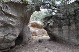 Cádiz.- La Junta estudiará las actuaciones que se llevarán a cabo tras los actos