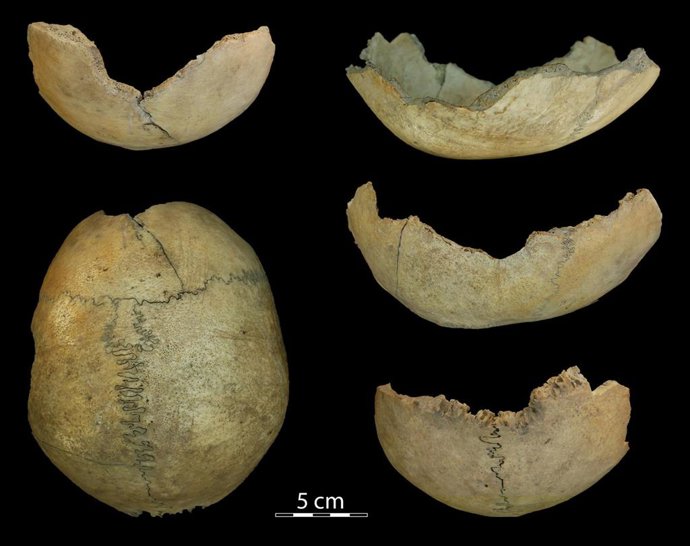 FOTO Hallados un "cráneo copa" y huesos humanos con marcas de canibalismo en la 