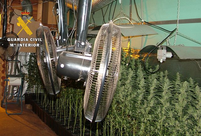 Sucesos.- Tres detenidos en Burgos y desmantelado un laboratorio con más de un m