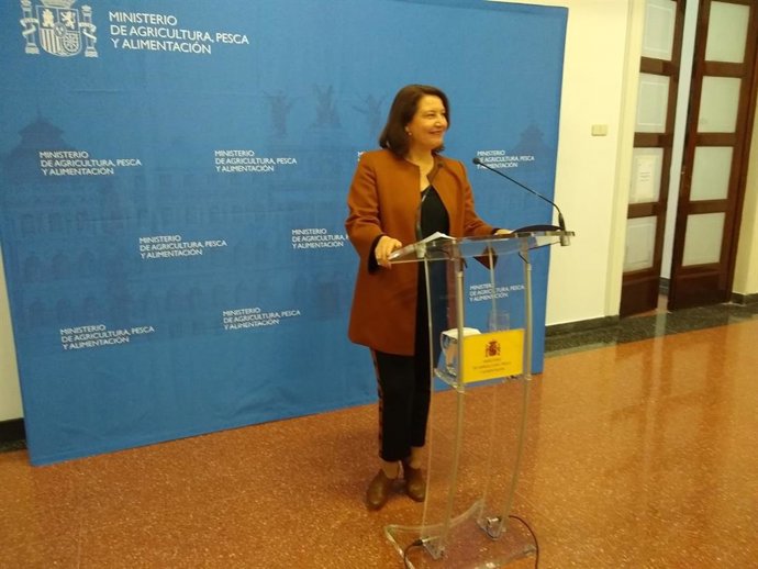 Andalucía aboga por analizar el problema de los bajos precios del aceite y ser "